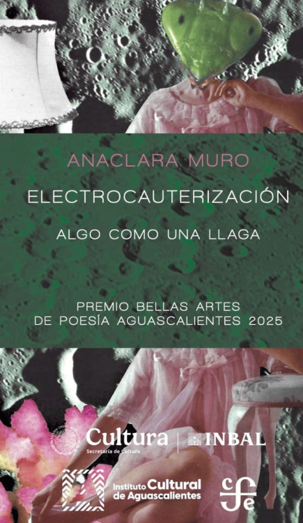 premios de poesía en México en 2025