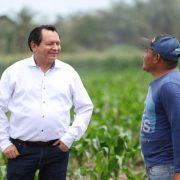 ¡Renace el campo! Mecanización de tierras impulsa a Yucatán