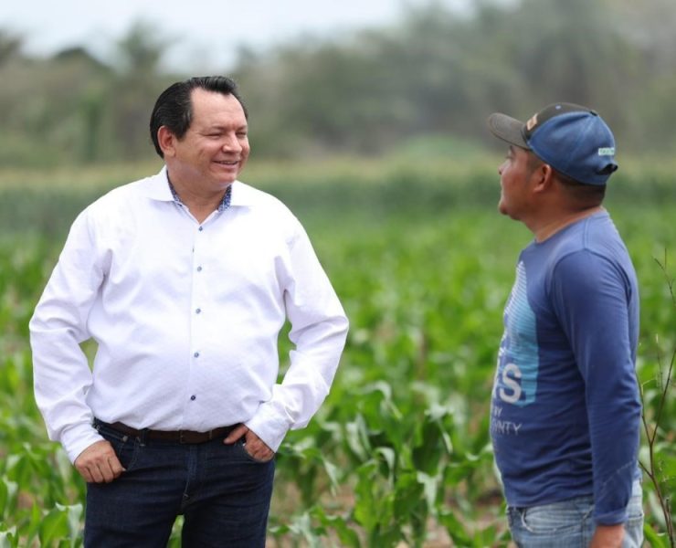 ¡Renace el campo! Mecanización de tierras impulsa a Yucatán