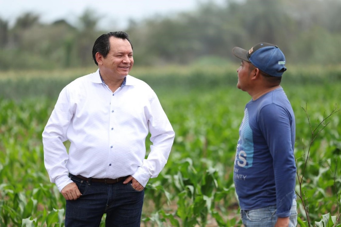 ¡Renace el campo! Mecanización de tierras impulsa a Yucatán