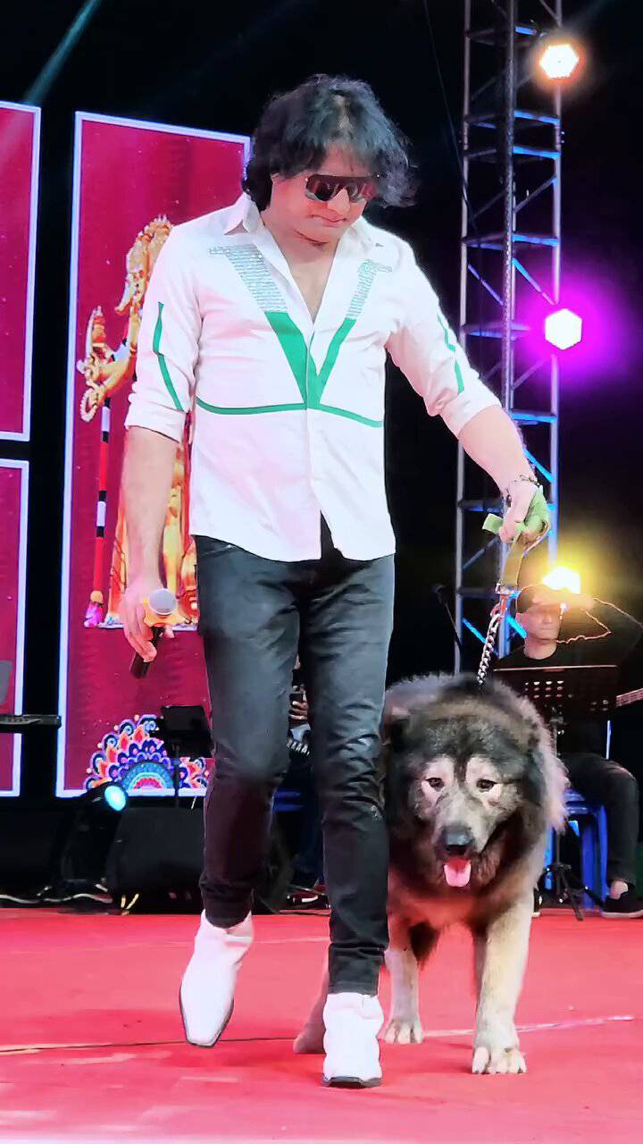 Cadabomb Okami, el perro más exclusivo del mundo