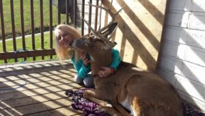 Medios locales reportaron que la mujer, de 64 años de edad, perdió la vida mientras realizaba labores habituales en el área donde mantenía a los venados que atendía desde hace años.