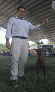La carrera Fast Cat y las pruebas de Disc Dog reúnen a decenas de mascotas demostrando velocidad, destreza y trabajo en equipo en la Feria X’Matkuil 2025.
