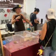 Canacintra reúne lo mejor del talento local dentro de su Mercadito en Xmatkuil