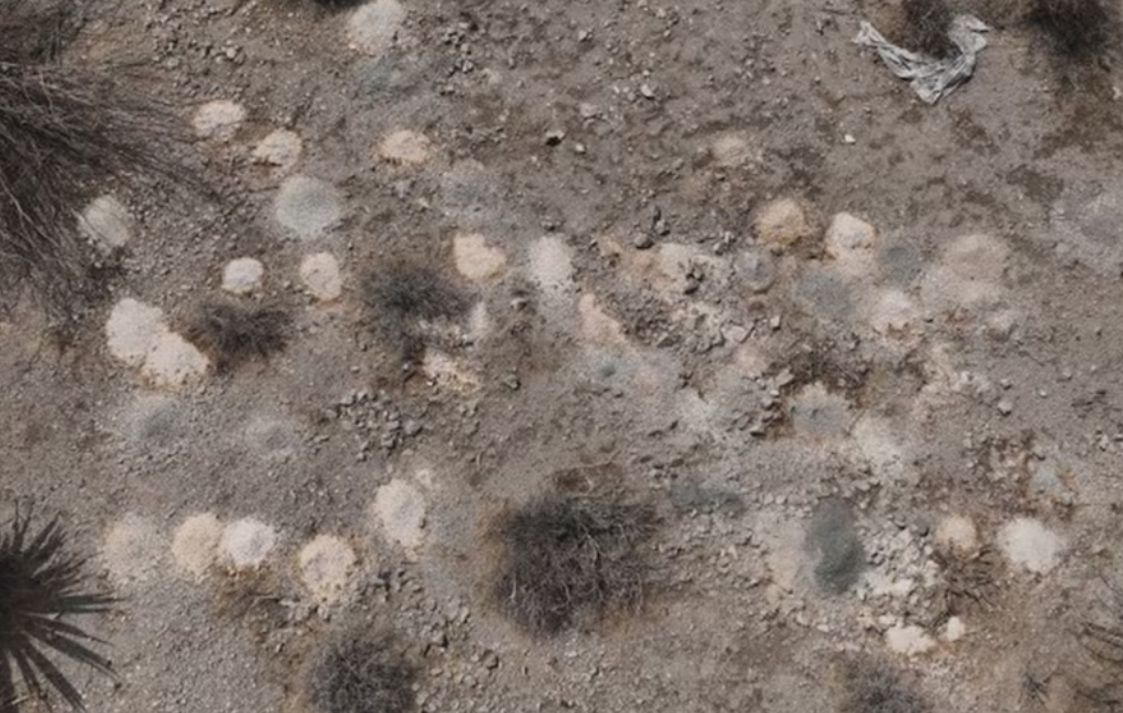 Hallazgo masivo de restos humanos en Las Vegas