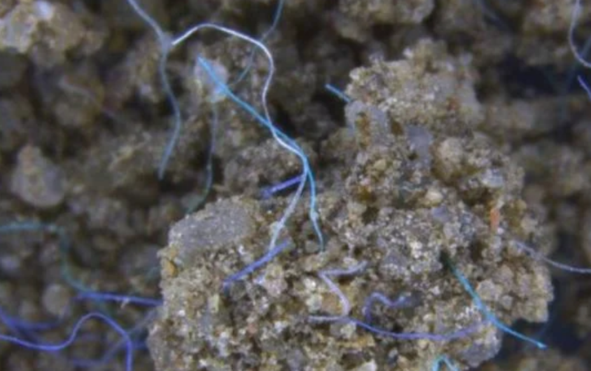 Presencia inesperada en capas antiguas