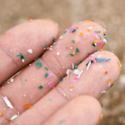 ¿Microplásticos del siglo XVIII? Nuestro planeta esta más contaminado de lo creído