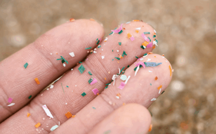 ¿Microplásticos del siglo XVIII? Nuestro planeta esta más contaminado de lo creído