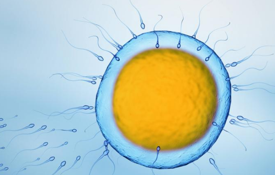 La infertilidad masculina y sus retos