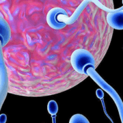 IA logra primer embarazo, un avance significativo para la salud y ciencia