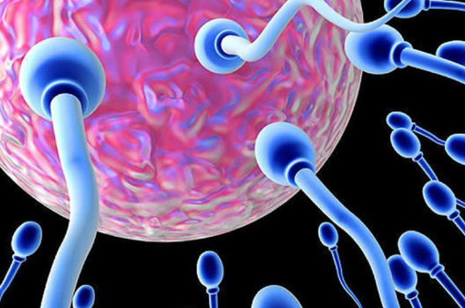 IA logra primer embarazo, un avance significativo para la salud y ciencia