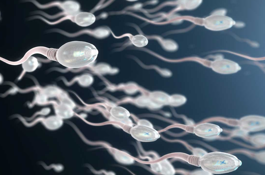 Implicaciones científicas y futuras