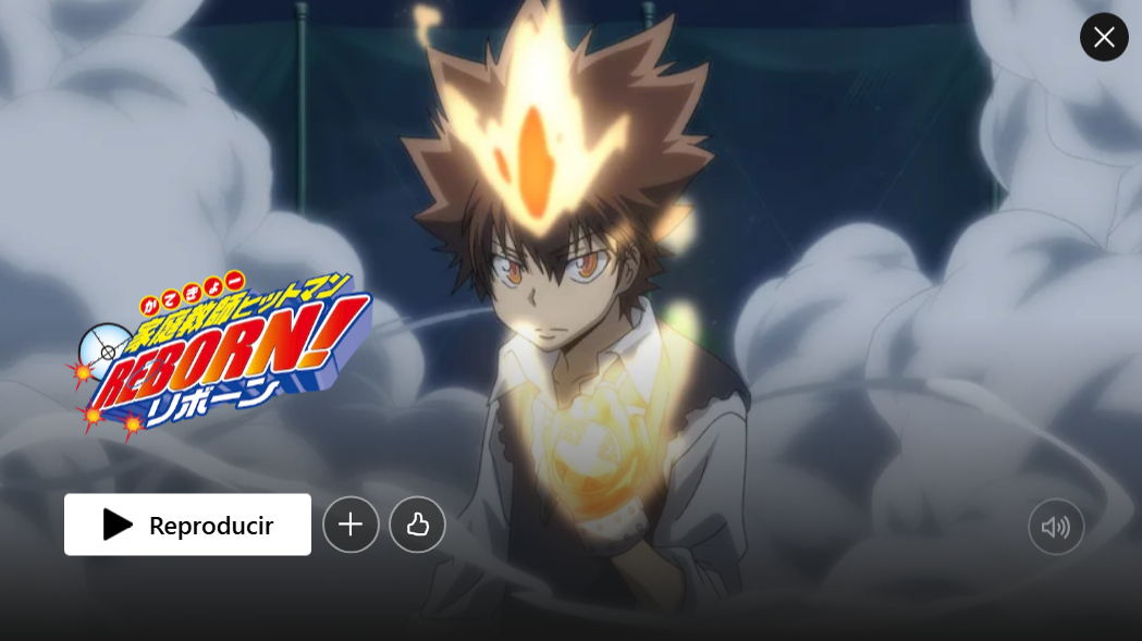 5. Katekyo Hitman Reborn