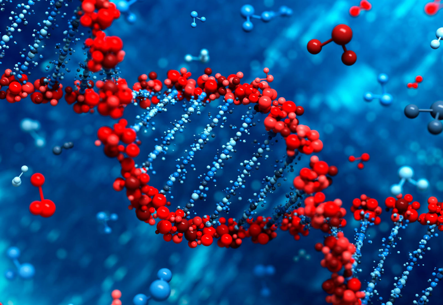 Rosalind Franklin, la verdadera clave del ADN