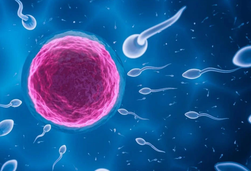 Ensayos clínicos y desarrollo científico