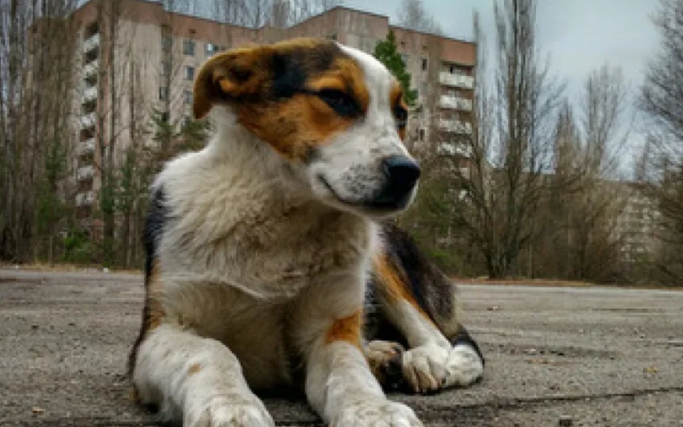 Evidencias científicas del cambio genético