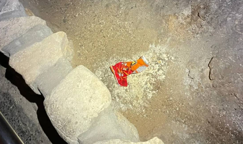 Alteraciones en la red alimentaria subterránea