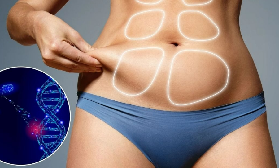 La terapia genética puede reprogramar tu cuerpo para perder peso