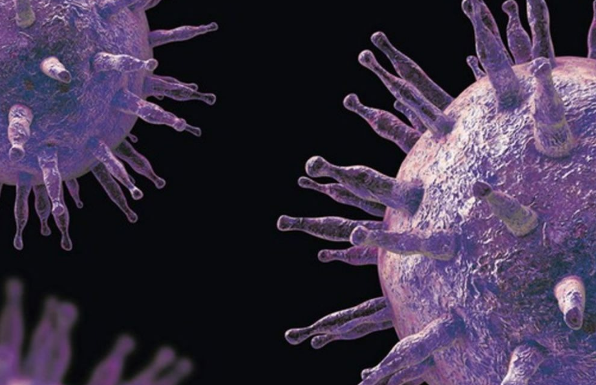 Implicaciones para el tratamiento del lupus