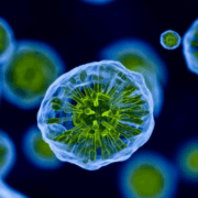 Un nuevo estudio del Lupus expone posible origen de la enfermedad