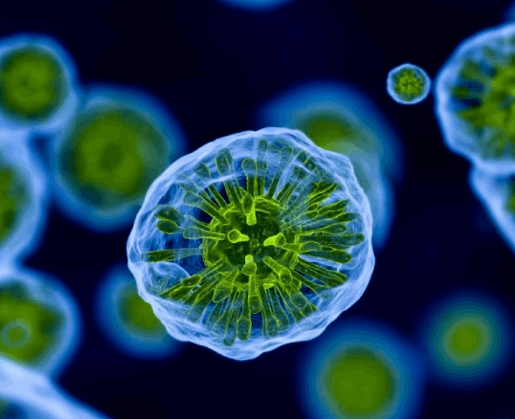 Un nuevo estudio del Lupus expone posible origen de la enfermedad