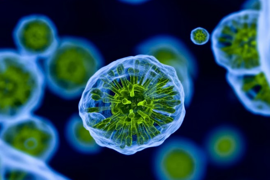 Un nuevo estudio del Lupus expone posible origen de la enfermedad