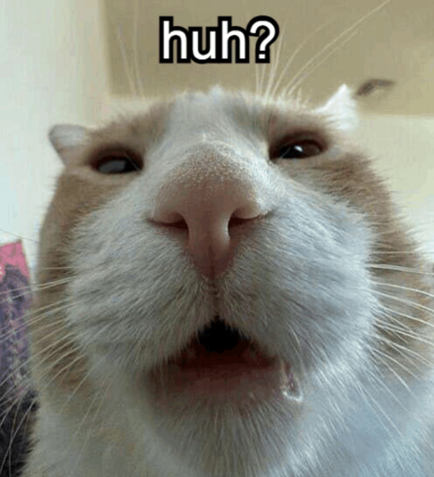 El estudio que reveló la palabra universal