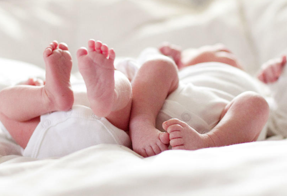 ¿Cómo comenzó la tormenta sobre Las autoridades de Dinamarca en el ojo del huracán?