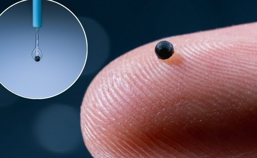 Crean un micro robot capaz de nadar dentro de ti para curar males desde adentro