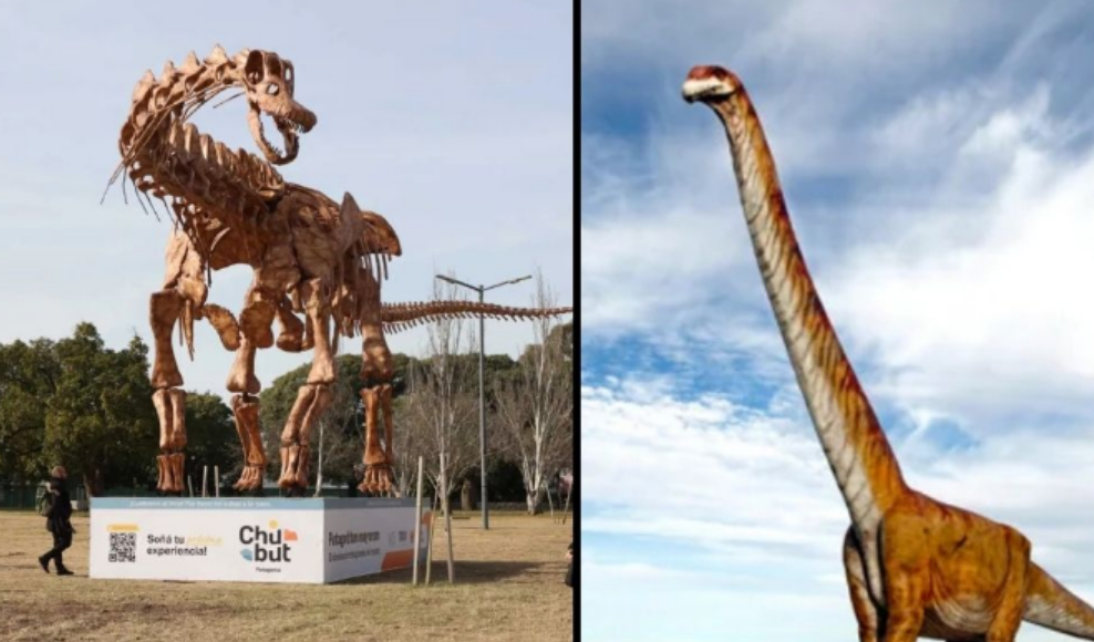 Encuentran el esqueleto entero de un Patagotitan mayorum (Un cuello largo)