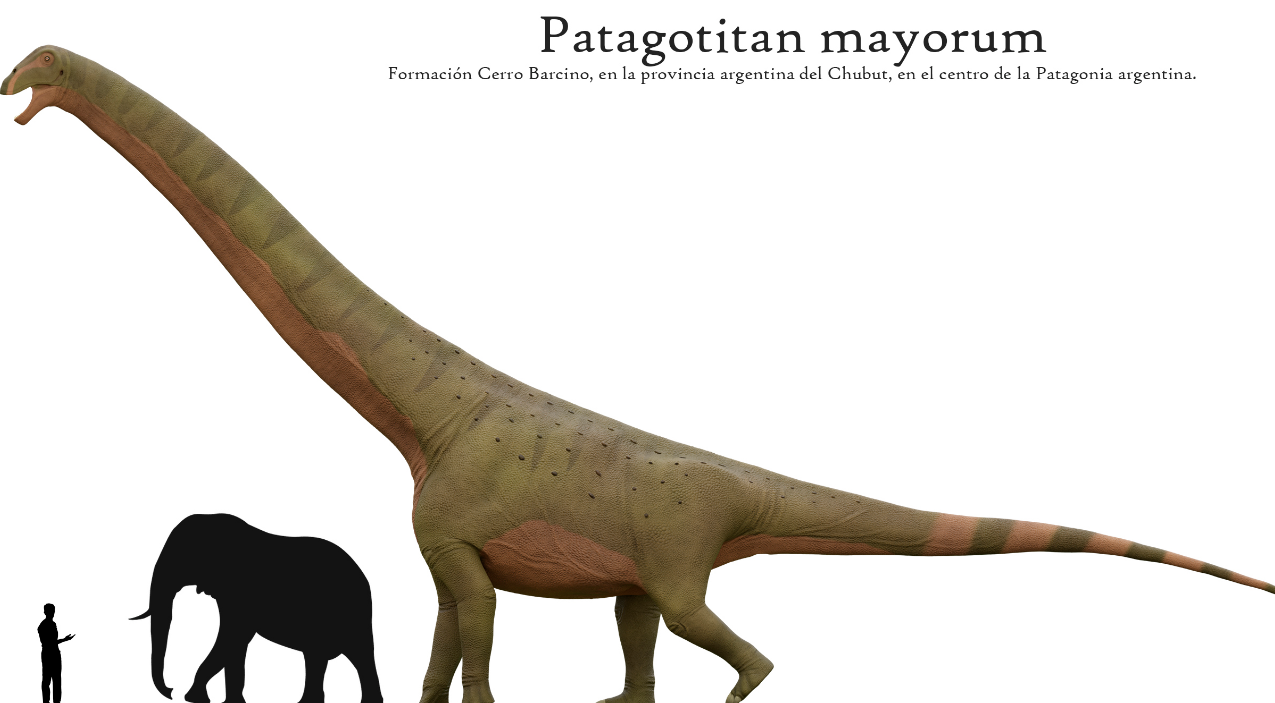 Características impresionantes del Patagotitan mayorum