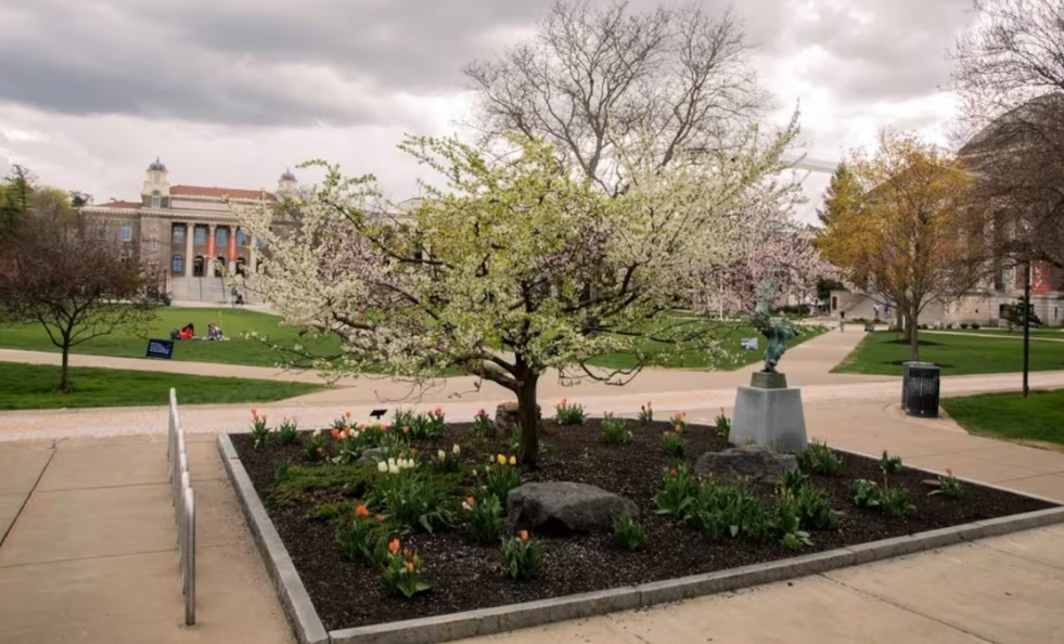 La visión artística detrás del árbol Frankenstein