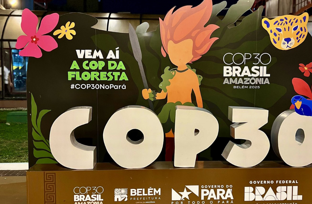 Iniciativas voluntarias y financiamiento