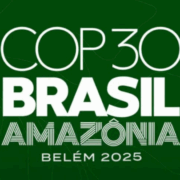 La COP30 concluyó y nada cambio, no se hicieron acuerdos