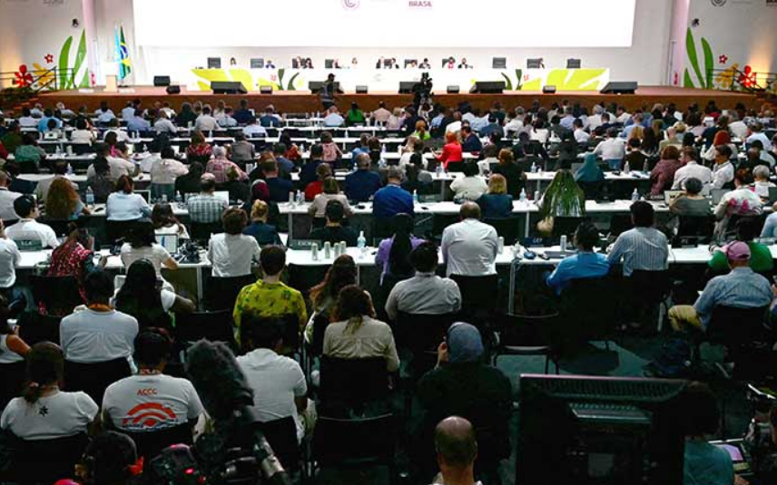 Presiones internacionales y concesiones