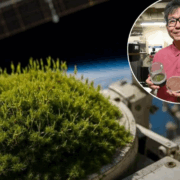 El musgo puede sobrevivir en el espacio, estuvo 9 meses fuera de la Estación Espacial