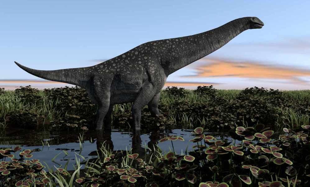 Un huevo de titanosaurio atrapado en ágata: cómo se formó