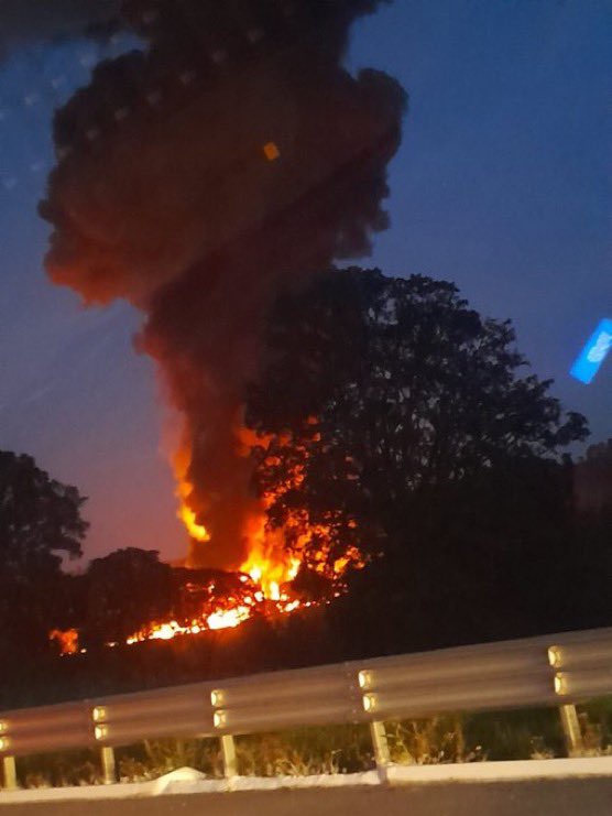 Reacciones y medidas preventivas