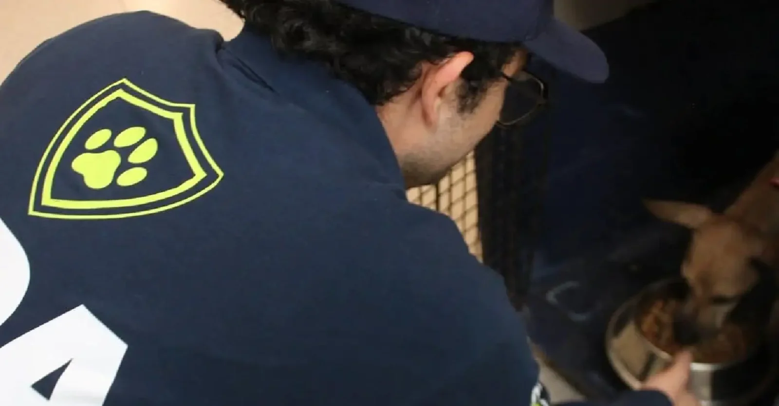 Histórica multa por maltrato animal sorprende a Mérida