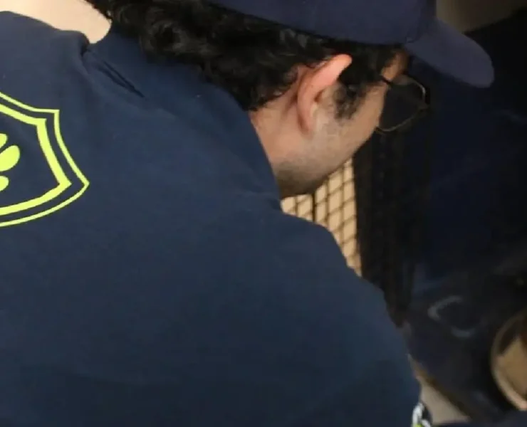 Histórica multa por maltrato animal sorprende a Mérida