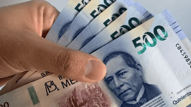 IOAE confirma freno económico