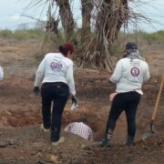 Iglesia capitalina reconoce fallas y pide perdón a familias de desaparecidos; llama a una “Revolución por la Paz”
