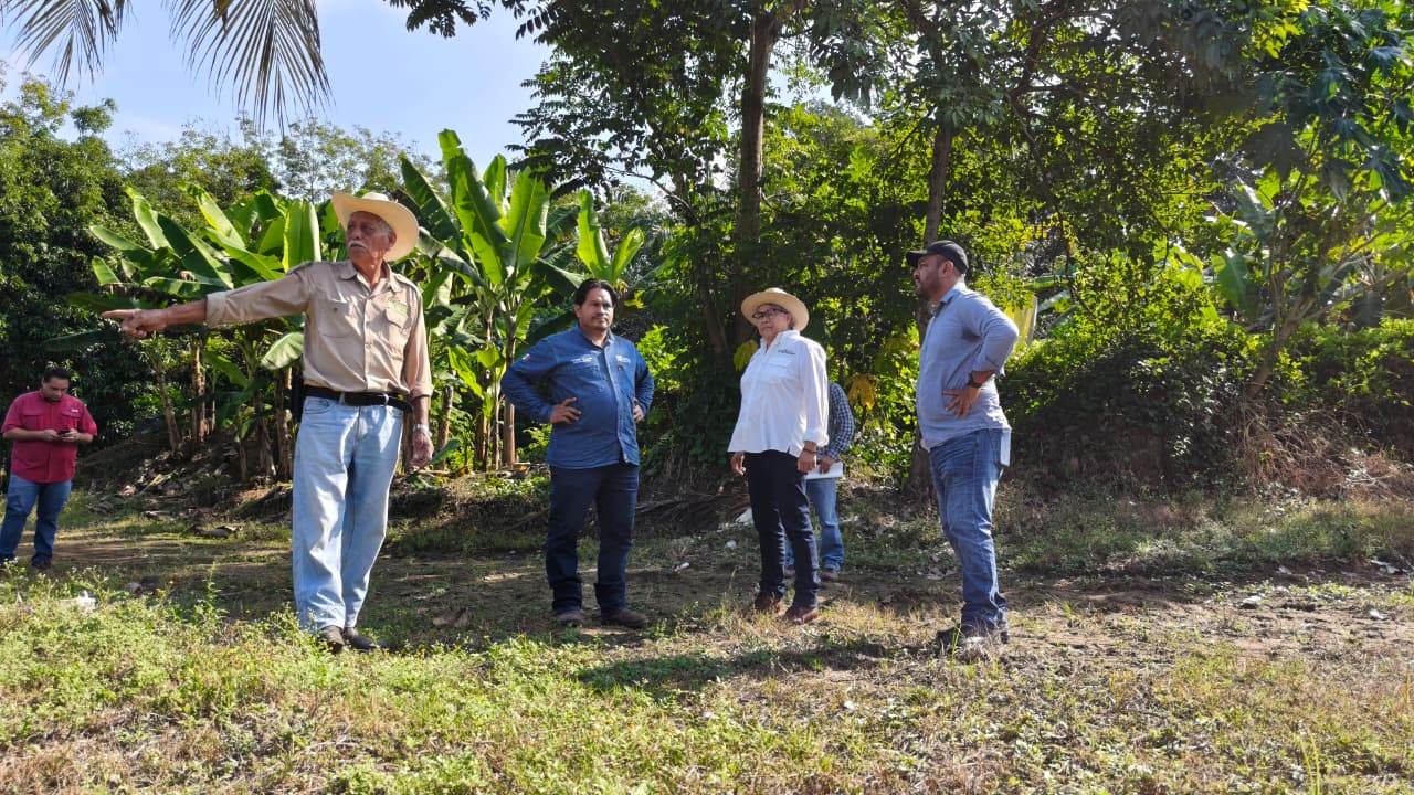 La reproducción vegetal tiene un santuario en Las Lilias