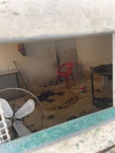 La histórica multa por maltrato animal marca un precedente en Mérida, recordando a la ciudadanía la importancia de cuidar y proteger a los animales domésticos.