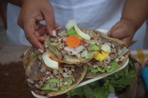 Diversión para toda la familia en la Feria del Panucho 2025: zona infantil, shows en vivo y actividades que harán de este sábado una experiencia inolvidable.