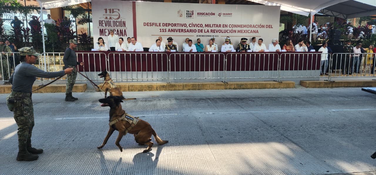 elementos de la Armada 