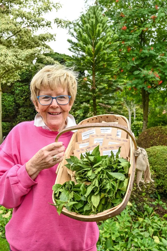 Semillas valiosas que impulsan conservación y solidaridad