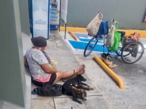 Pareja en situación de calle mantenía a varios perros y gatos amarrados a un triciclo, entre ellos perras lactantes junto a sus cachorros
