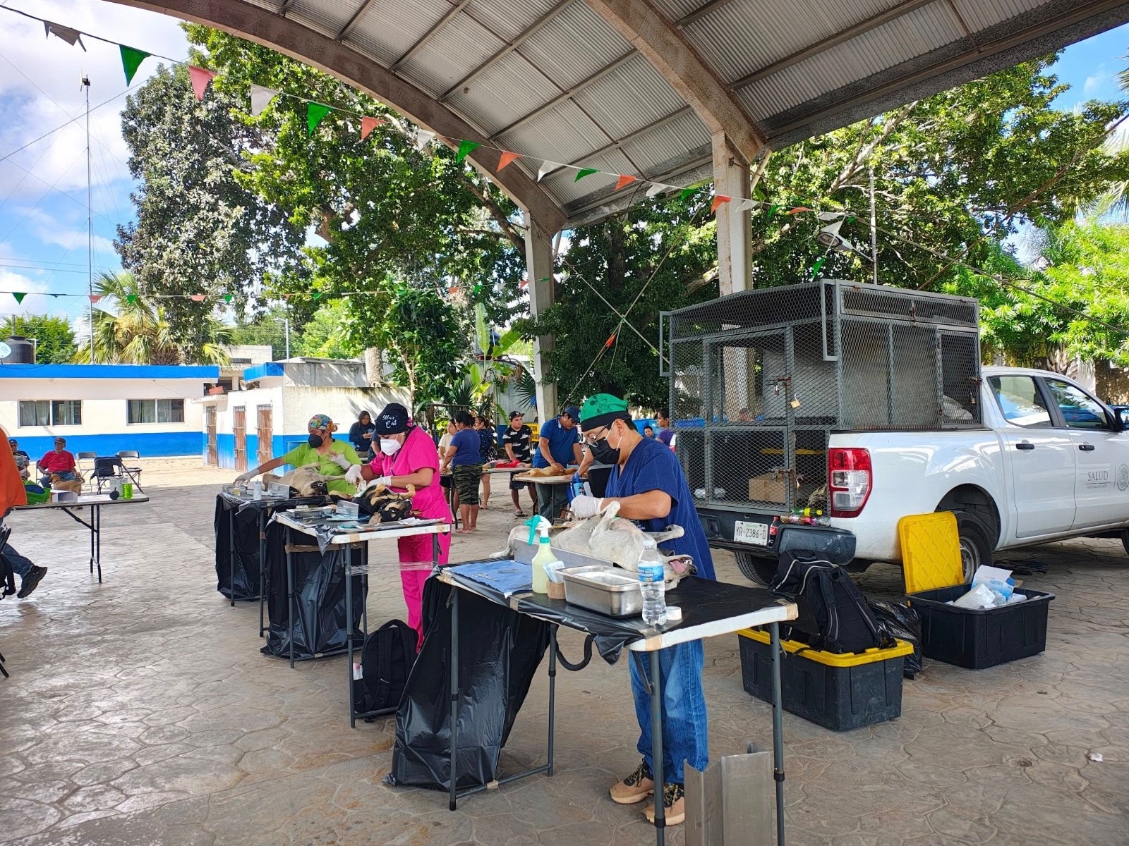 Así impulsa Yucatán el cuidado responsable de mascotas