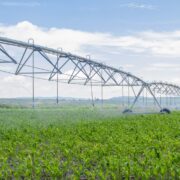 Aviso importante de la Secretaría de Agricultura y Desarrollo Rural